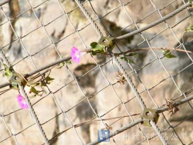 柔性防護網(wǎng)--04